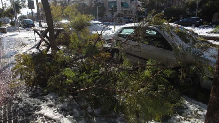 Ποιοι δήμοι αποζημιώνουν τις ζημιές από πτώσεις δέντρων σε ΙΧ