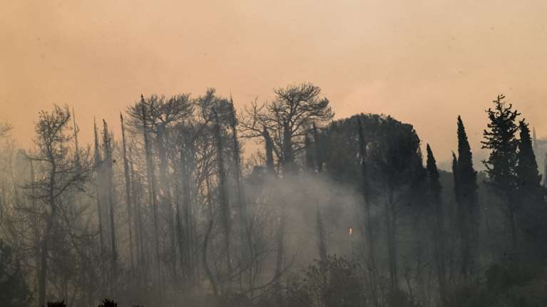 Έβρος: Υπό μερικό έλεγχο η πυρκαγιά κοντά στην περιοχή της Κορνοφωλιάς