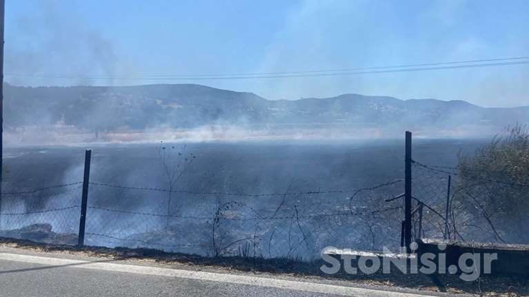 Φωτιά σε αγροτοδασική έκταση στη Λέσβο