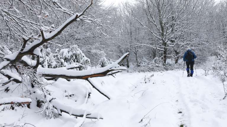 Καιρός: Έρχεται πολική κακοκαιρία με τσουχτερό κρύο και πτώση της θερμοκρασίας - Ποιες περιοχές θα ντυθούν στα λευκά