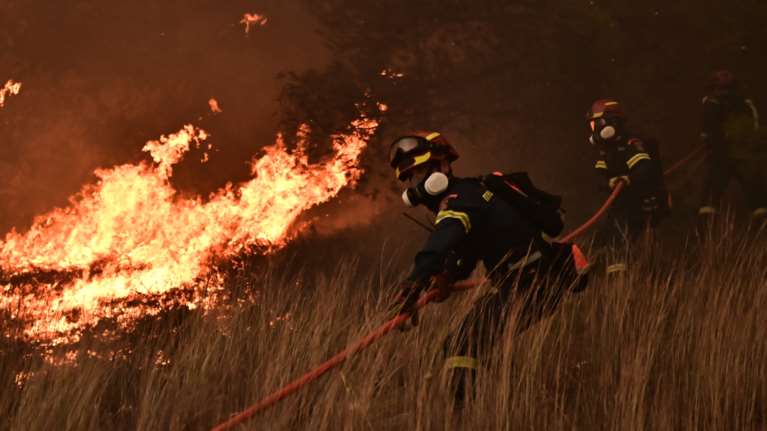 Καλύτερη η εικόνα της φωτιάς στα Φάρσαλα - Σηκώθηκαν εναέρια μέσα