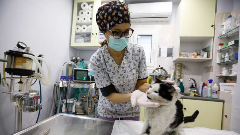 Κορονοϊός: Γάτος βρέθηκε θετικός στη Βρετανία - Το πρώτο κατοικίδιο στη χώρα που μολύνθηκε