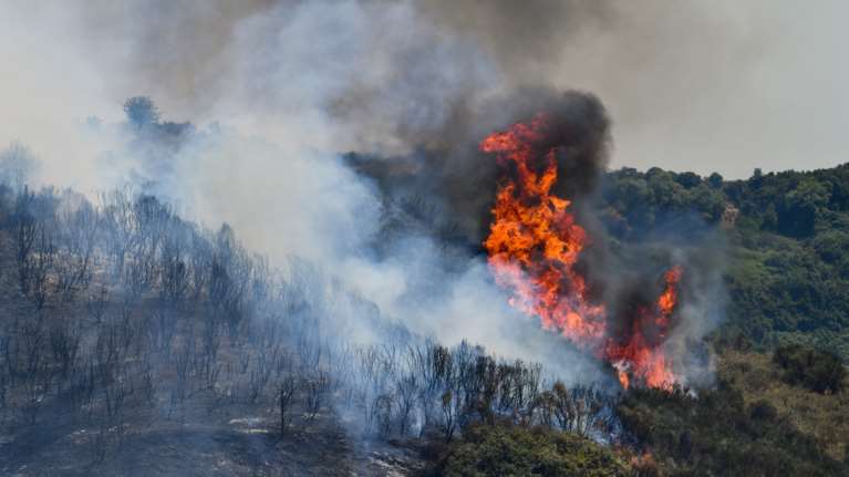 Σε εξέλιξη το πύρινο μέτωπο στην Λέσβο - Εκκενώθηκαν δύο οικισμοί
