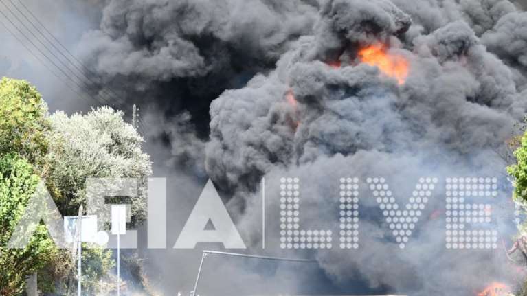 Φωτιά στα Κρέστενα Ηλείας: Πύρινος εφιάλτης με τις φλόγες στις αυλές των σπιτιών - Εχουν εκκενωθεί 3 περιοχές [βίντεο]