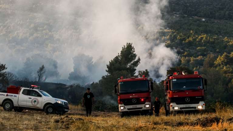 Πυρκαγιά σε δασική έκταση ξέσπασε στη Βοιωτία