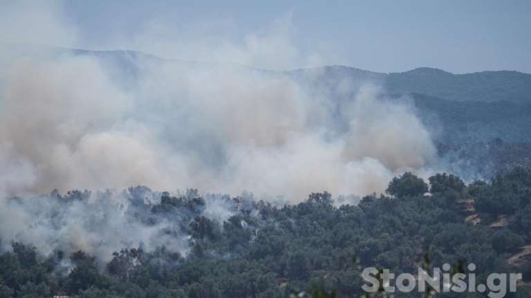 Λέσβος: Μεγάλη φωτιά στο Σκαλοχώρι - Επιχειρούν 4 εναέρια μέσα