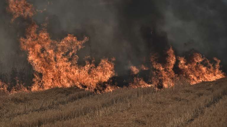 Συλλήψεις για εμπρησμούς σε Μεσσηνία, Ιωάννινα και Βοιωτία - &quot;Μου είπαν στο καφενείο να βάζω φωτιές&quot;