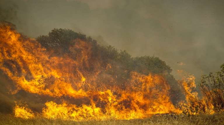 Βόλος: Συνελήφθη άνδρας για εμπρησμό - Εικάζεται ότι έβαλε τη φωτιά στον Αλμυρό