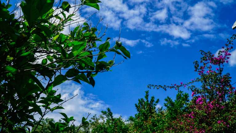 Τα δύο πρόσωπα του καιρού σήμερα: 30άρια στη μισή χώρα - Σε ποιες περιοχές θα χτυπήσουν οι καταιγίδες