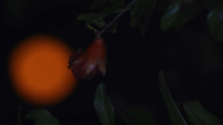 Μαγευτικό το &quot;Φεγγάρι της Φράουλας&quot; - 10+5 μοναδικές εικόνες από την υπεπανσέληνο του Ιουνίου