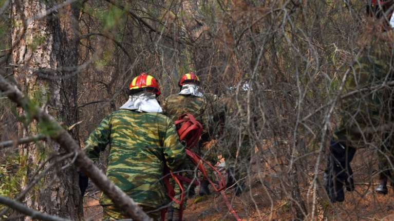 Καίγεται για έβδομη μέρα το Δάσος της Δαδιάς - Ξεκίνησαν οι εναέριες ρίψεις νερού