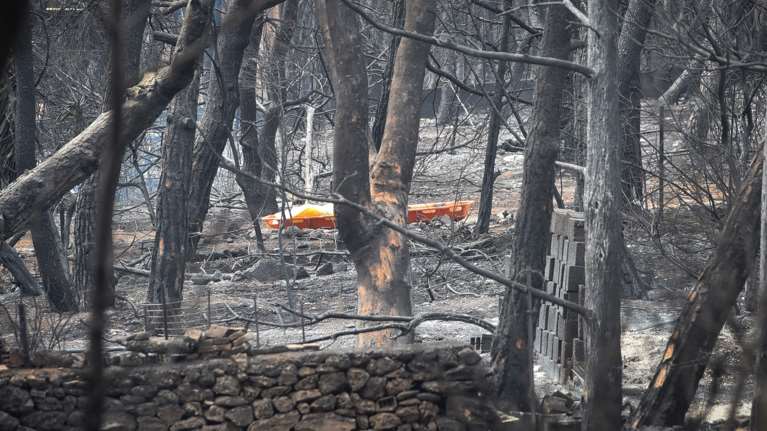 Δίκη για το Μάτι: "Οι άνθρωποι πέθαναν αβοήθητοι" κατέθεσε ο πραγματογνώμονας Ανδριανός Γκουρμπάτσης
