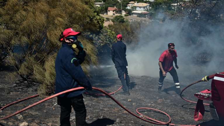 Συνελήφθη 55χρονος μελισσοκόμος για την πυρκαγιά στην Αλυκή Βοιωτίας