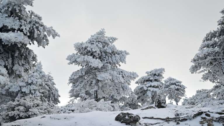 Καιρός: Ισχυρός παγετός με 228 περιοχές υπό του μηδέν - Πού σημειώθηκαν -12 βαθμοί Κελσίου