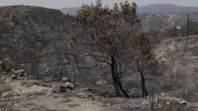 Πυρκαγιές: Αλλάζει ο νόμος για τους εμπρηστές – Έρχονται βαριά πρόστιμα, θα φτάσουν μέχρι και τα 30.000 ευρώ [βίντεο]