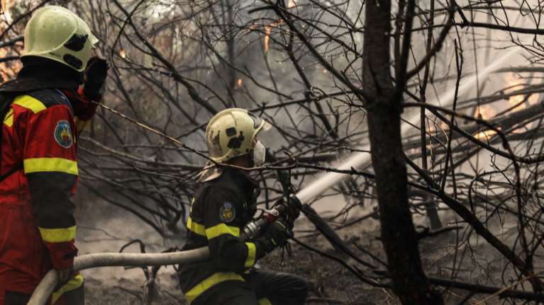 Εύβοια - Διαψεύδουν οι Ρουμάνοι πυροσβέστες τα fake news: &quot;Τεράστιο ψέμα&quot; ότι η φωτιά θα μπορούσε να σβήσει σε μία μέρα