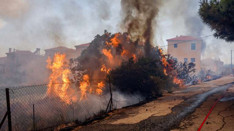 Φωτιά στη Λέσβο: 18 μήνες φυλακή σε 20χρονο για εμπρησμό από αμέλεια στη Βρίσα