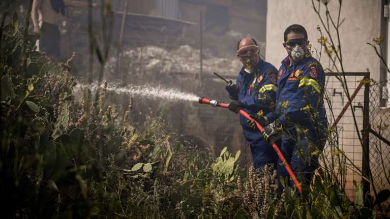 Φωτιά στη Φθιώτιδα: Σε κρίσιμη κατάσταση 67χρονος μελισσοκόμος - Είχε πάει να σώσει τα μελίσσια του