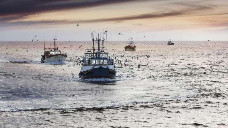 Συναγερμός στο Λιμενικό: Τουρκικά αλιευτικά έφτασαν πρώτη φορά στη Γαύδο - Κατέπλευσαν στη Σούδα λόγω καιρού