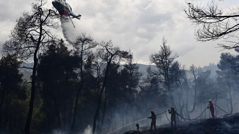 Ενδείξεις εμπρησμού στη φωτιά της Σταμάτας: Δεν προέκυψε κάτι για τον αλλοδαπό που προσήχθη, εξετάζεται και δεύτερο άτομο