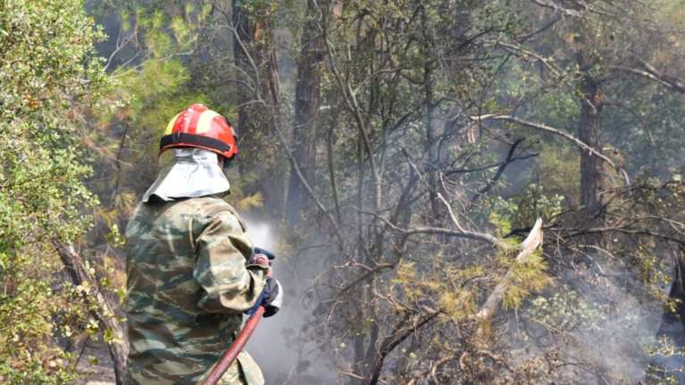 Φωτιά στην Εγνατία Οδό: Ισχυρές επίγειες δυνάμεις της Πυροσβεστικής - Ρίψεις από αέρος