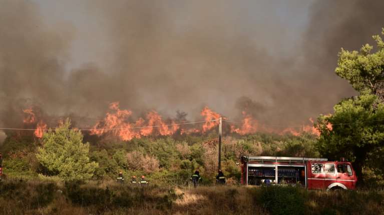Δήμαρχος Μαραθώνα: Είναι μια βιβλική καταστροφή, έχουμε ένα τεράστιο μέτωπο