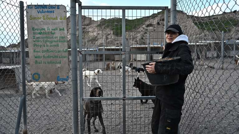 &quot;Δεν φεύγουμε, δεν θα αφήσουμε πίσω τα ζώα&quot;: Το σπουδαίο έργο της SAWA στη Σαντορίνη [εικόνες - βίντεο]
