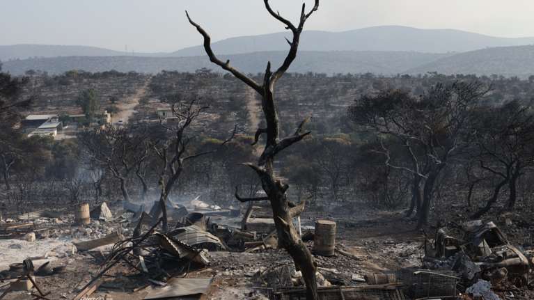 Προειδοποίηση Λέκκα: &quot;Θα βλέπουμε καταστροφές κάθε καλοκαίρι - Τεράστιες οι επιπτώσεις των πυρκαγιών στην Αττική&quot; [Βίντεο]
