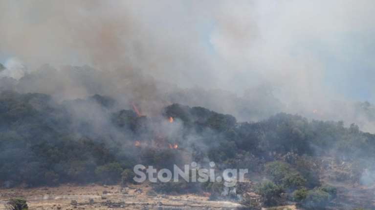 Φωτιά στη Λέσβο, καίγεται δασική έκταση - Επιχειρούν 10 εναέρια μέσα - Πυρκαγιές και σε Βοιωτία και Όλυμπο [εικόνες-βίντεο]