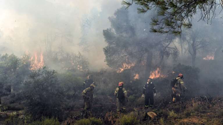 Φωτιά στην Αλεξανδρούπολη: Έστησαν "οχυρό" για να μην περάσει στον πυρήνα της Δαδιάς - Στις έρευνες και η ΕΥΠ