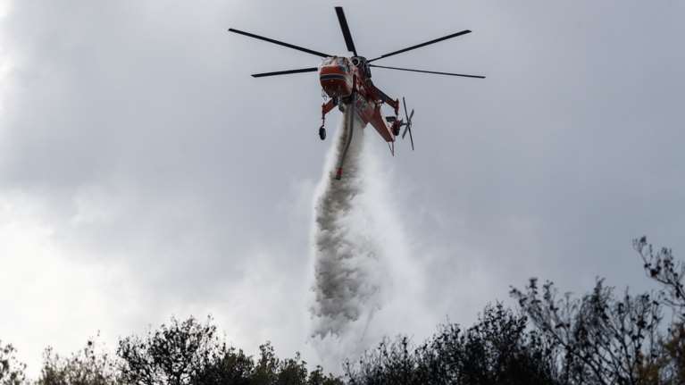Φωτιά στην Αγιά Λάρισας: Στις φλόγες χαμηλή βλάστηση - Στη μάχη και εναέριες δυνάμεις
