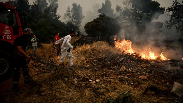 Μάχη με τις φλόγες στα Λεχαινά Ηλείας