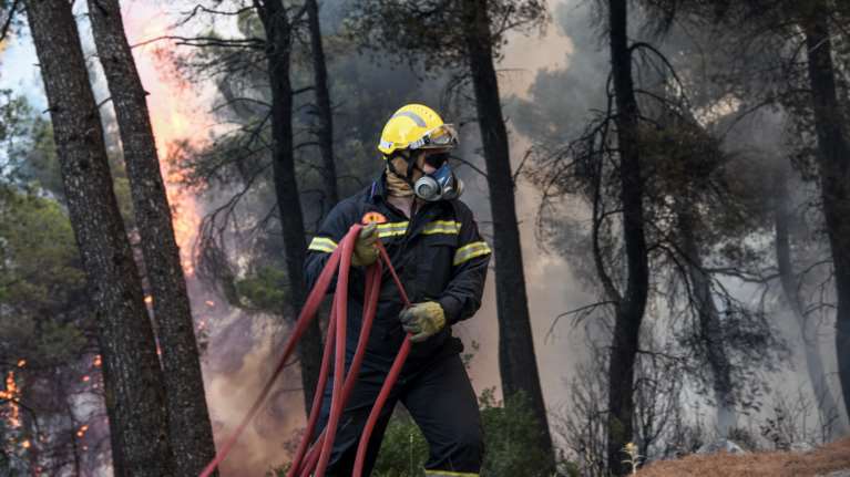 Επίδαυρος: Συναγερμός στην Πυροσβεστική για πυρκαγιά σε δασική έκταση