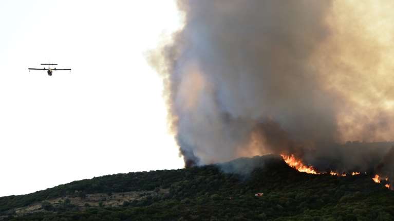 Θεσπρωτία: Δασική πυρκαγιά στη Σαγιάδα - Εστάλη 112