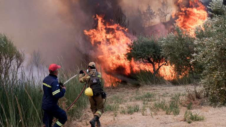 Φωτιά στην Ηλεία: Μικρές εστίες σε Κρυονέρι, Λάσδικα, Μηλιές και Δούκα