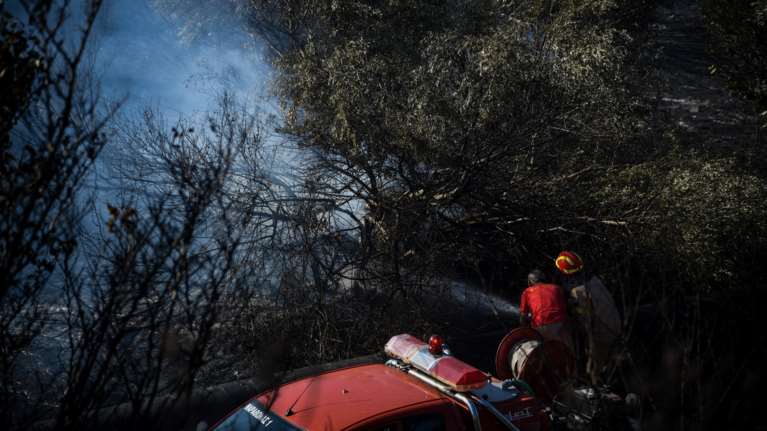 Φωτιά στον Μαραθώνα: Καίγεται δασική έκταση - &quot;Στη μάχη&quot; και εναέρια μέσα