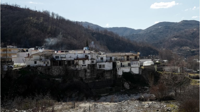 ΕΧΙΝΟΣ