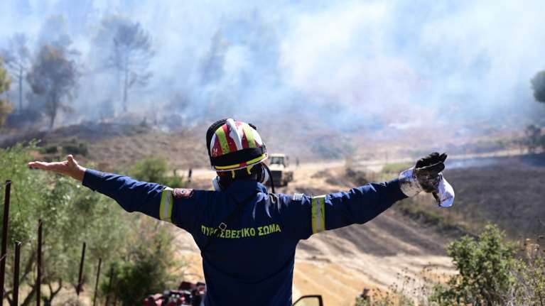 Φωτιά στα Οινόφυτα: Ισχυρές δυνάμεις της Πυροσβεστικής στο σημείο, σηκώθηκαν τέσσερα εναέρια μέσα