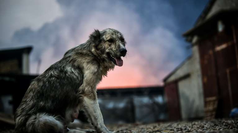 Ζερεφός: Παράξενο και ακραίο έτος το 2023 – Η φύση μάς αναγκάζει να πάρουμε μέτρα