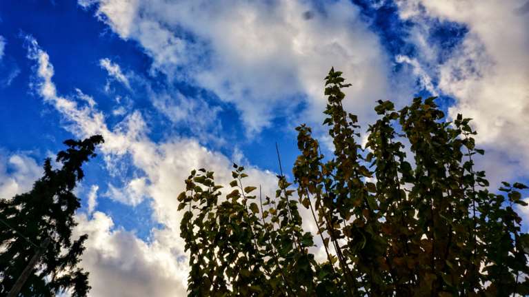 Βελτιωμένος ο καιρός σήμερα με το θερμόμετρο έως τους 28 βαθμούς - Πού θα βρέξει