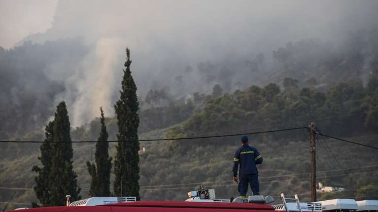 Συναγερμός για πυρκαγιές σε Κέρκυρα και Λακωνία - Πύρινα μέτωπα σε Τεμπλόνιον και Ευρώτα