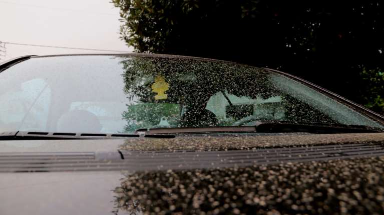 Προειδοποίηση Σάκη Αρναούτογλου για λασποβροχές - Ποιες περιοχές θα επηρεαστούν