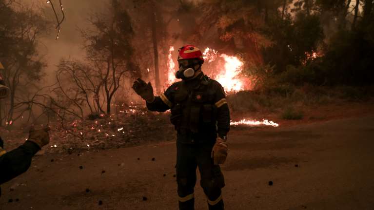 Φωτιά στην Εύβοια - Σε απόγνωση οι ρητινοκαλλιεργητές: Χάσαμε τη δουλειά μας, μείναμε 800 οικογένειες στον δρόμο