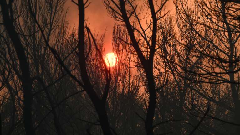 Δύο νέες φωτιές στη Μεσσηνία: Ολονύχτια μάχη σε Μουζάκι και Άνθεια