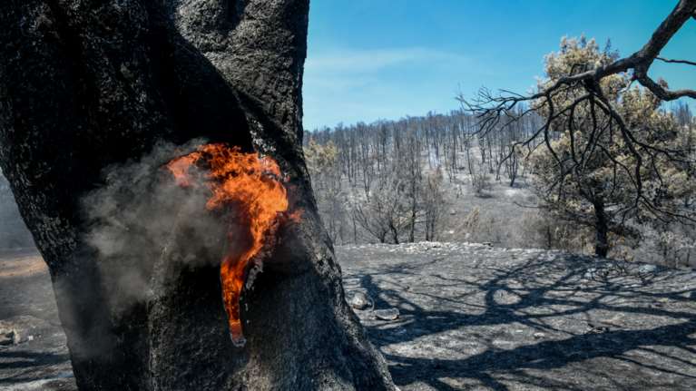 Εμπρησμοί: Τρεις νέες συλλήψεις για φωτιές σε Μαρκόπουλο, Λέσβο και Λιβαδειά