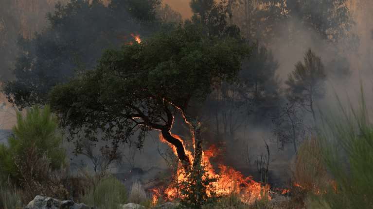 Πυρκαγιά στο Αρχοντικό της Ανατολικής Μάνης