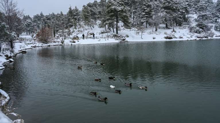 Κακοκαιρία Avgi: Μαγικό τοπίο η λίμνη Μπελέτσι στην Ιπποκράτειο Πολιτεία - Υπέροχες εικόνες που θυμίζουν... Ελβετία