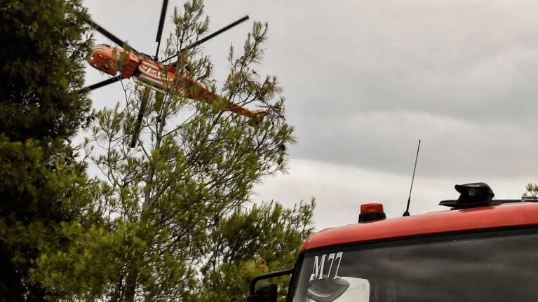 Φωτιά στον Μαραθώνα: Στη μάχη 30 πυροσβέστες και τρία ελικόπτερα