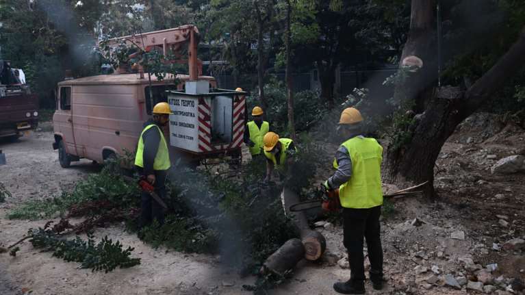 Ελληνικό Μετρό ΑΕ: Τι θα γίνει με τα δέντρα στην πλατεία Εξαρχείων - &quot;Θα μεταφυτευθούν και θα φυτευτούν 2.000 νέα&quot;