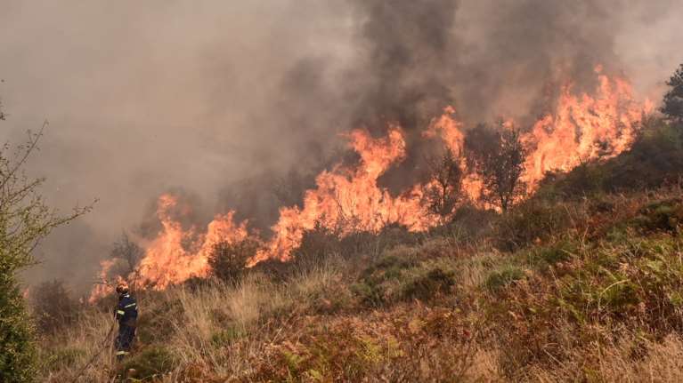 Έρευνα για το πώς ξεκίνησε η φωτιά στο Ξυλόκαστρο: Γνωστός αντιδήμαρχος κάπνιζε στο χωράφι τα μελίσσια του, του έβαλαν πρόστιμο